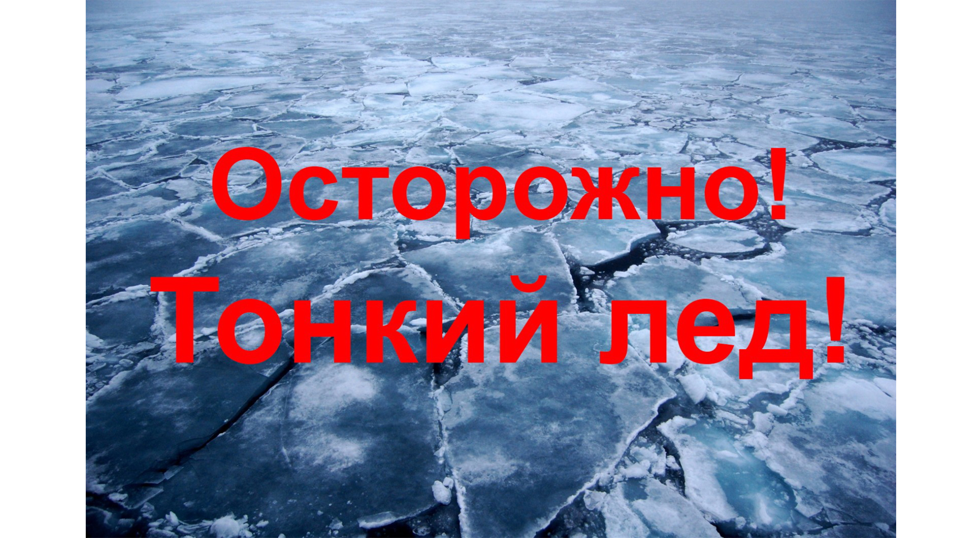 Без имени-1.jpg